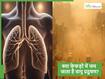 क्या फेफड़ों के अंदर जाकर जम जाता है प्रदूषण? जानें प्रदूषण से स्वास्थ्य पर किस तरह पड़ता है असर