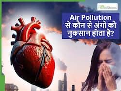 रेस्पिरेटरी एक्सपर्ट ने बताया प्रदूषण के कारण आपके कौन से अंग हो रहे सबसे ज्यादा डैमेज