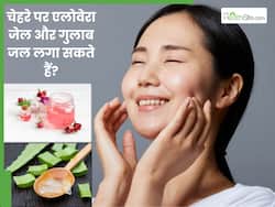 क्या चेहरे पर एलोवेरा और गुलाब जल को एक साथ लगा सकते हैं? जानें