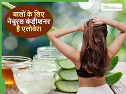 शैंपू से पहले लगाएंगे तो बालों में कंडीशनर का काम करेगा एलोवेरा, सर्दियों वाले हेयर फॉल से भी मिलेगा छुटकारा