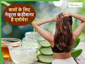 शैंपू से पहले लगाएंगे तो बालों में कंडीशनर का काम करेगा एलोवेरा, सर्दियों वाले हेयर फॉल से भी मिलेगा छुटकारा शैंपू से पहले लगाएंगे तो बालों में कंडीशनर का काम करेगा एलोवेरा, सर्दियों वाले हेयर फॉल से भी मिलेगा छुटकारा