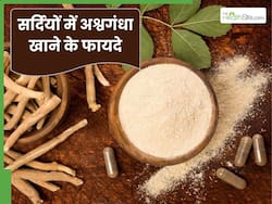 सर्दियों में अश्वगंधा खाने से मिलते हैं ये 5 फायदे, इस तरह करें डाइट में शामिल
