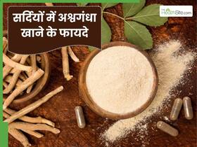 सर्दियों में अश्वगंधा खाने से मिलते हैं ये 5 फायदे, इस तरह करें डाइट में शामिल