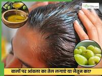 जैतून या आंवला, बालों के लिए कौन सा तेल सबसे ज्यादा सही है? जानें स्टडी