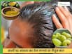 जैतून या आंवला, बालों के लिए कौन सा तेल सबसे ज्यादा सही है? जानें स्टडी
