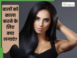 बाल काले करने के लिए क्या लगाएं? जानें 5 चीजें, जिनसे सफेद बालों से मिलेगा छुटकारा