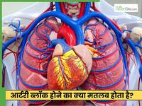 आर्टरी ब्लॉक होने का क्या मतलब होता है? डॉक्टर ने बताया कैसे कर सकते हैं ठीक