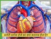आर्टरी ब्लॉक होने का क्या मतलब होता है? डॉक्टर ने बताया कैसे कर सकते हैं ठीक