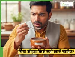 इन 3 लोगों को बिल्कुल नहीं खाने चाहिए चिया सीड्स, वरना झेलना पड़ सकता है भारी नुकसान