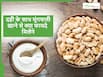 क्या आपने भी कभी खाई है दही और मूंगफली? इससे सेहत को मिलने वाले फायदे जानकर हैरान रह जाएंगे आप