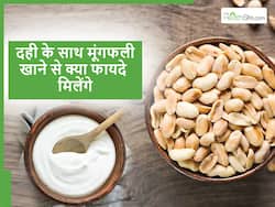 क्या आपने भी कभी खाई है दही और मूंगफली? इससे सेहत को मिलने वाले फायदे जानकर हैरान रह जाएंगे आप