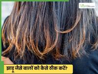 सर्दियों में बालों झाड़ू जैसे जड़ जड़ क्यों हो जाते हैं?