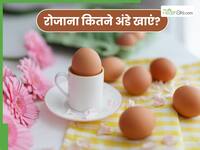 किन लोगों को अंडा नहीं खाना चाहिए? जानें, रोज कितने अंडे खाना है सुरक्षित