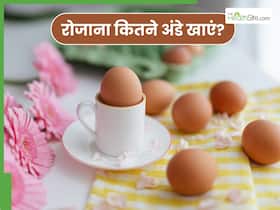 क्या अंडे से गैस या ब्लोटिंग होती है? AIIMS के डॉक्टर ने दिए अंडे से जुड़े 7 सवालों के जवाब