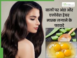 बालों पर अंडा और एलोवेरा को मिलाकर लगाना है बेहद फायदेमंद, इस तरह से करें अप्लाई