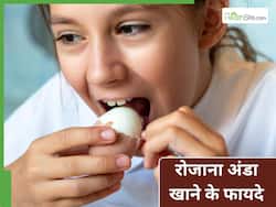 रोज 2 अंडे खाने से क्या होता है? डॉक्टर से जानें
