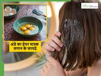 बालों में लगाएं अंडे से बना ये खास प्रोटीन मास्क, सर्दियों में भी सिल्की और चमकीले रहेंगे बाल