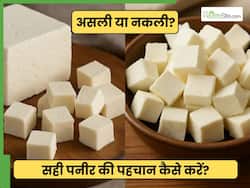 рдЕрд╕рд▓реА рдФрд░ рдирдХрд▓реА рдкрдиреАрд░ рдХреА рдкрд╣рдЪрд╛рди рдХрд░рдиреЗ рдХрд╛ рд╕рд╣реА рддрд░реАрдХрд╛ рдХреНрдпрд╛ рд╣реИ? рдбреЙрдХреНрдЯрд░ рд╕реЗ рдЬрд╛рдиреЗрдВ