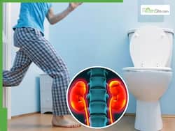 Frequent Urination In Winter: Why Men Urinate More At Night And When It Signals Kidney Trouble