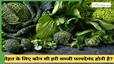 techlusive news
