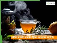 सर्दियों में कोल्ड ड्रिंक्स नहीं बल्कि पीएं ये 5 खास तरह के हर्बल ड्रिंक, बॉडी के एक-एक अंग को मिलेगा फायदा