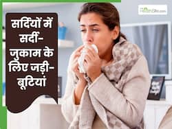 सर्दियों में सर्दी-जुकाम से बचाती हैं ये जड़ी-बूटियां, इस तरह से करें डाइट में शामिल