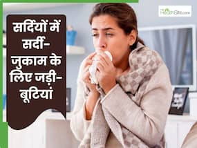 सर्दियों में सर्दी-जुकाम से बचाती हैं ये जड़ी-बूटियां, इस तरह से करें डाइट में शामिल
