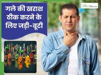 पॉल्यूशन से गले में हो रही है खराश, तो इन 5 जड़ी-बूटियों को करें सेवन, तुरंत मिलेगा फायदा