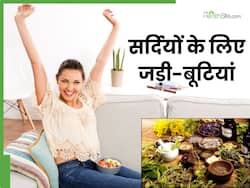 सर्दियों में जरूर करें इन 5 जड़ी-बूटियों का सेवन, बीमारियों से होगा बचाव