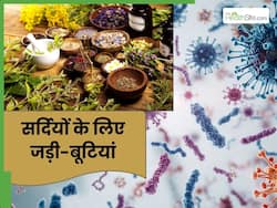 सर्दियों में शरीर में गर्मी बढ़ाने के लिए ये 5 जड़ी-बूटियां हैं असरदार, इस तरह करें डाइट में शामिल