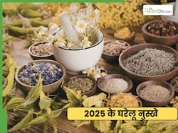 Home Remedies 2025: उबटन से लेकर बाल बढ़ाने वाले तेल तक, इन 10 नुस्खों ने 2025 में दिखाया अपना कमाल