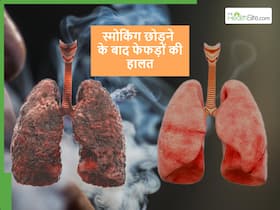 क्या स्मोकिंग छोड़ने के बाद फिर से ठीक होने लगते हैं फेफड़े और उसमें कितना टाइम लगता है क्या स्मोकिंग छोड़ने के बाद फिर से ठीक होने लगते हैं फेफड़े और उसमें कितना टाइम लगता है