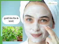 Tulsi Face Pack: सर्दियों में तुलसी फेस पैक से पाएं बेजान चेहरे से छुटकारा