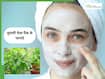 Tulsi Face Pack: सर्दियों में तुलसी फेस पैक से पाएं बेजान चेहरे से छुटकारा