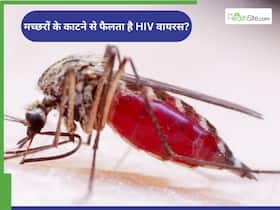 World HIV Day: क्या मच्छरों के काटने से फैलता है HIV वायरस? एक्सपर्ट से जानें