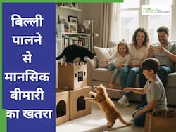घर में पाल रखी है बिल्ली, तो हो जाइए सावधान; आपको है मानसिक बीमारी का खतरा!