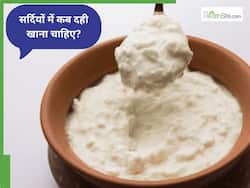 सर्दियों में किस टाइम खाना चाहिए दही?