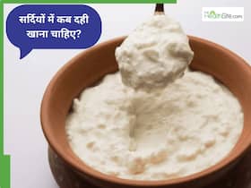 सर्दियों में किस टाइम खाना चाहिए दही?