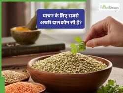 दाल खाते ही पेट में होने लगती है गुड़गुड़, तो जान लीजिए कौन सी दाल के आपके लिए बेस्ट