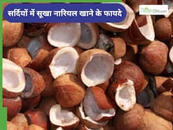 सर्दियों में रोजाना खाएं ये सूखा फल, इम्यूनिटी होगी बूस्ट; हड्डियां बनेंगी चट्टान सी मजबूत