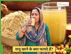 सर्दियों में सत्तू पाउडर खाने से मिलते हैं ये 5 फायदे, जान लिए तो आज से लेना कर देंगे शुरू