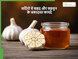 सर्दियों में बार-बार बीमार पड़ने से बचना है तो शहद में भिगोकर इस समय खाएं लहसुन