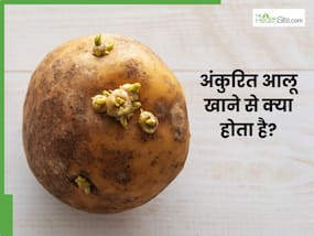 अंकुरित आलू खाने से क्या नुकसान होता है? जाने किन परेशानियों का रहता है खतरा