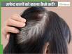 इस एक नुस्खे से बालों को करें काल, 1 महीने तक नहीं पड़ेगी डाई करने की जरूरत