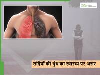 वायु प्रदूषण ही नहीं बल्कि सर्दियों की धुंध भी फेफड़ों को कर रही डैमेज, एक्सपर्ट्स ने किया सावधान