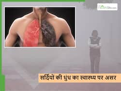 वायु प्रदूषण ही नहीं बल्कि सर्दियों की धुंध भी फेफड़ों को कर रही डैमेज, एक्सपर्ट्स ने किया सावधान