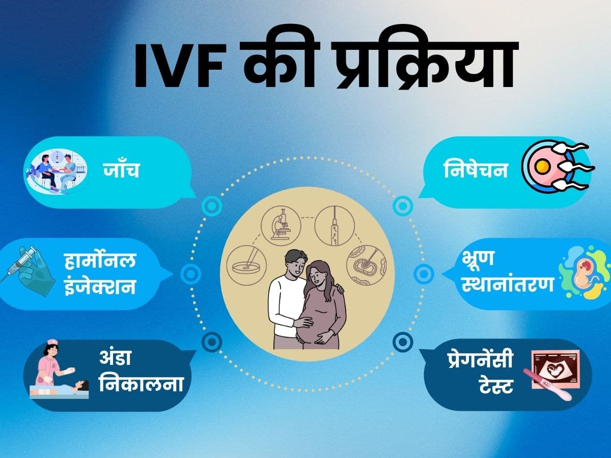ivf process