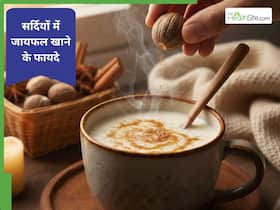 ठंड में जायफल है वरदान! खाने से शरीर को गर्मी, इम्यूनिटी और अच्छी नींद समेत मिलते हैं ये 5 फायदे ठंड में जायफल है वरदान! खाने से शरीर को गर्मी, इम्यूनिटी और अच्छी नींद समेत मिलते हैं ये 5 फायदे