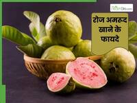 सर्दियों में रोज एक अमरूद खाने से क्या होता है? जानें इसके फायदे और सेवन का तरीका