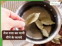 लटकती तोंद से हैं परेशान? सुबह खाली पेट पिएं तेज पत्ते का पानी, 15 दिन में दिखने लगेगा जादू!